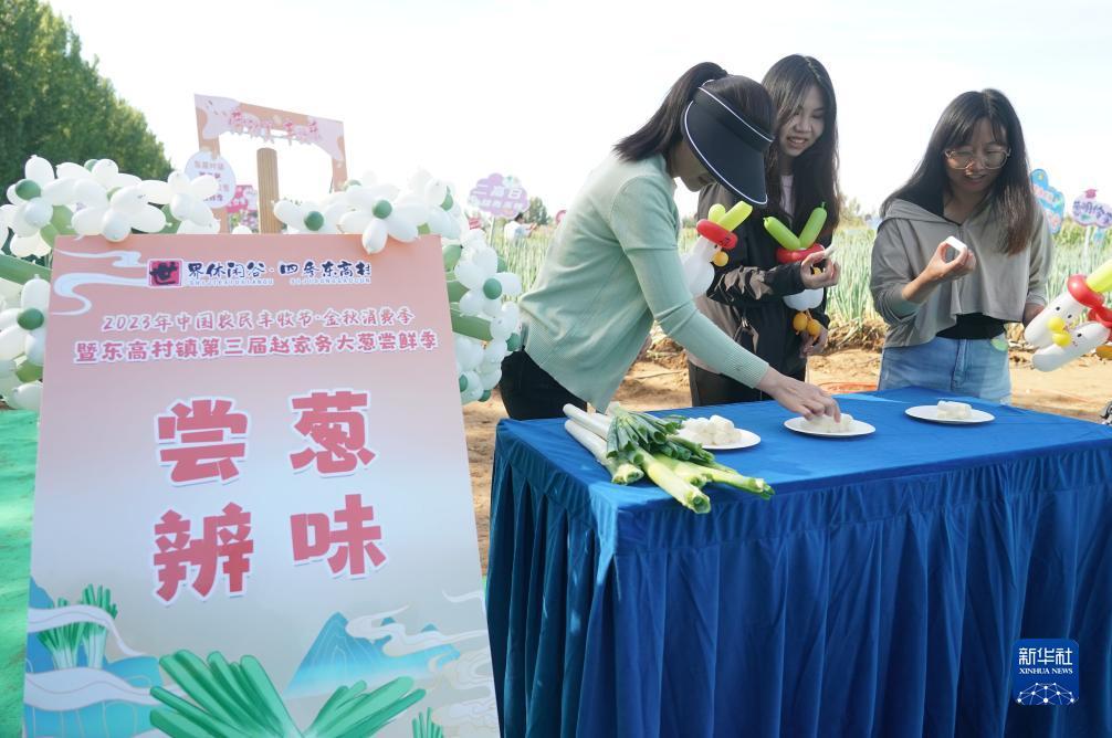 李逵捕鱼游戏下载大全